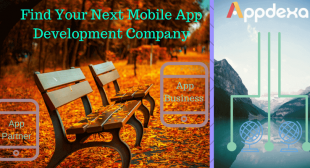 What to Look When Choosing Your Next Mobile App Development Company