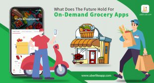 Insights into the factors, opportunities, and benefits of grocery delivery apps
