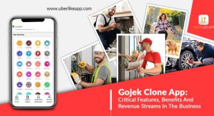 Build an efficient solution like Gojek to engage your target audience