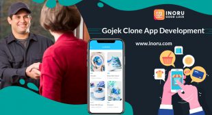 The on-demand multi-service app that you need-Gojek clone