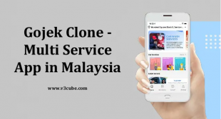 Gojek Clone – Multi-Service App in Malaysia