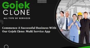 Commence A Successful Business With Our Gojek Clone: Multi Service App
