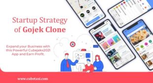Startup Strategy of Gojek Clone