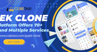 Plunge Into The On-Demand Multi-Service Business by Developing Gojek Clone App