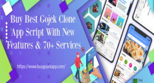 TAKE THE LEAD ON THE ON DEMAND BUSINESS MARKET WITH GOJEK CLONE APP SOLUTION!