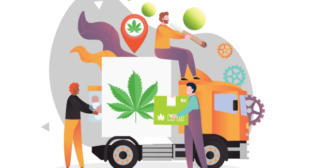 Marijuana Delivery App – Launch The Best Cannabis Delivery App At A Low Cost