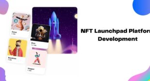 Revamp the creator economy by beginning NFT launchpad development