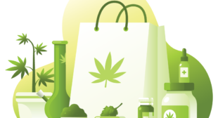 5 Best Custom On-Demand Marijuana Delivery Apps That Multiply Your Profits