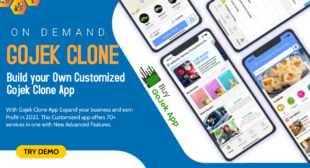 Gojek Clone: Multi-Services Provider in One Platform