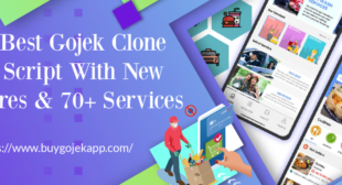 WHY IS ENTREPRENEURS FIRST CHOICE GOJEK CLONE FOR MULTI SERVICE BUSINESS?