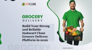 Build Your Strong and Reliable Instacart Clone Grocery Delivery Platform in 2022