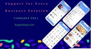 Gojek Clone – Overall Support for Every Business Solution